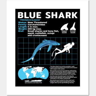 Blue Shark Fact Sheet Posters and Art